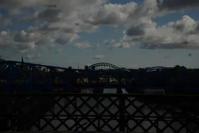 DSC_7197 (Large).JPG